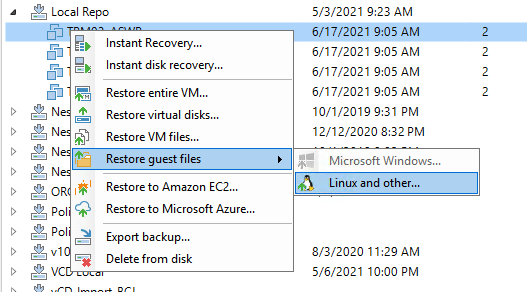 Linux File Level Recovery