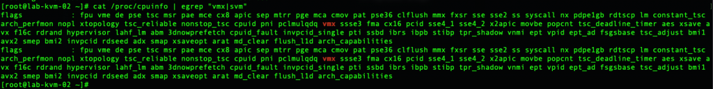 KVM on vSphere ESXi